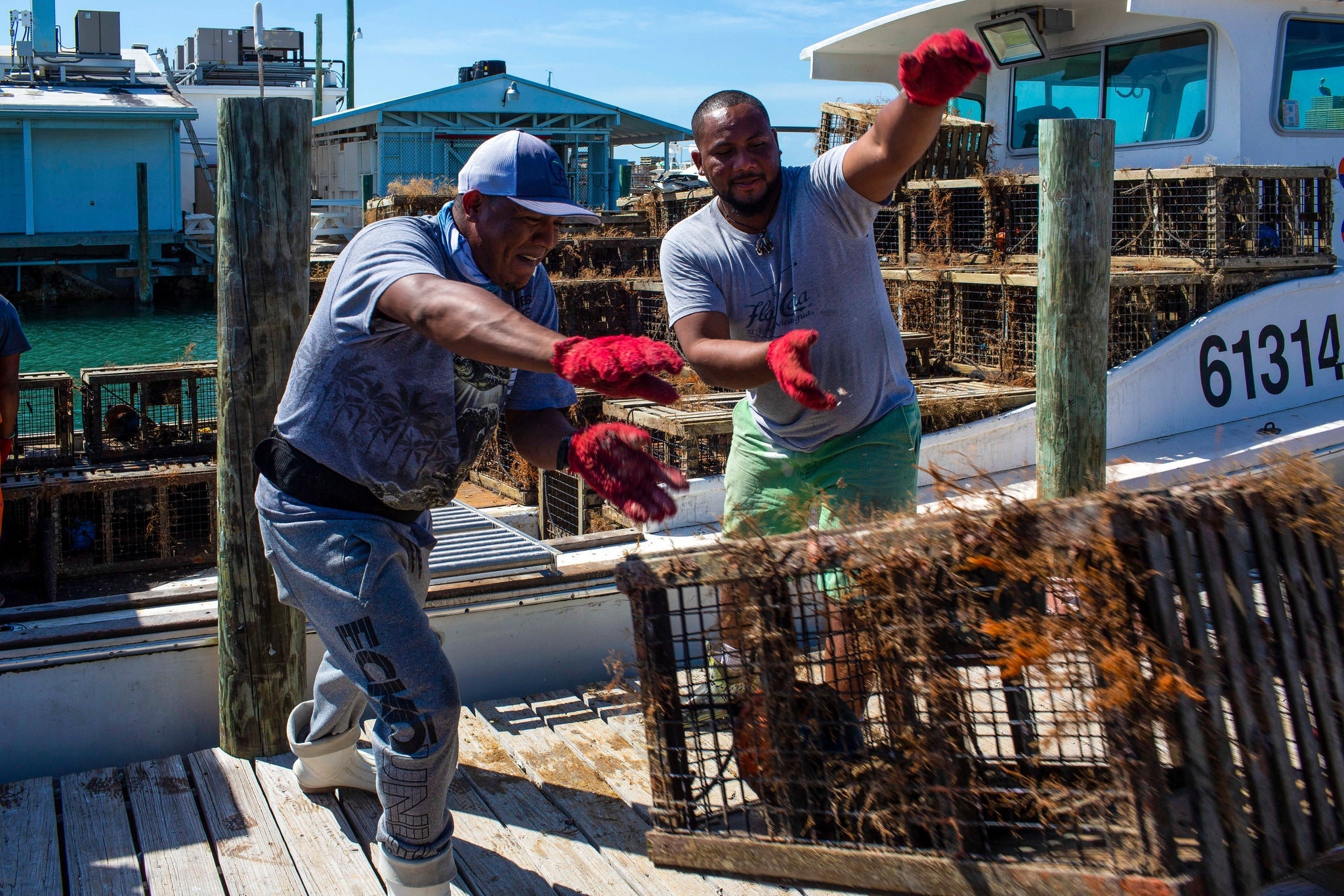 My khong ban duoc tom hum anh 3