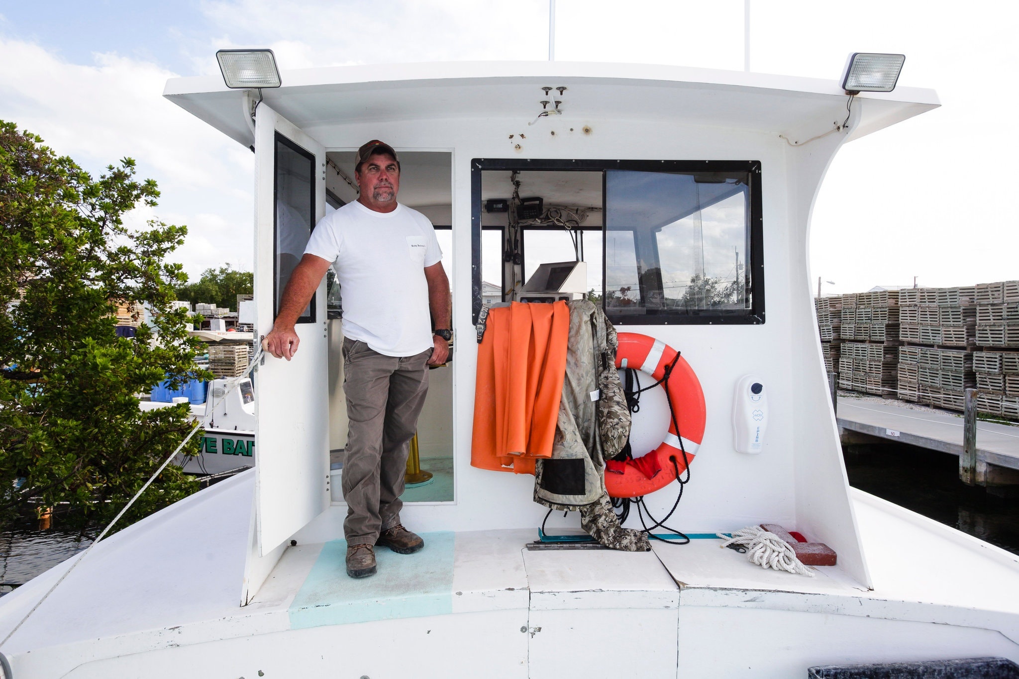 My khong ban duoc tom hum anh 8