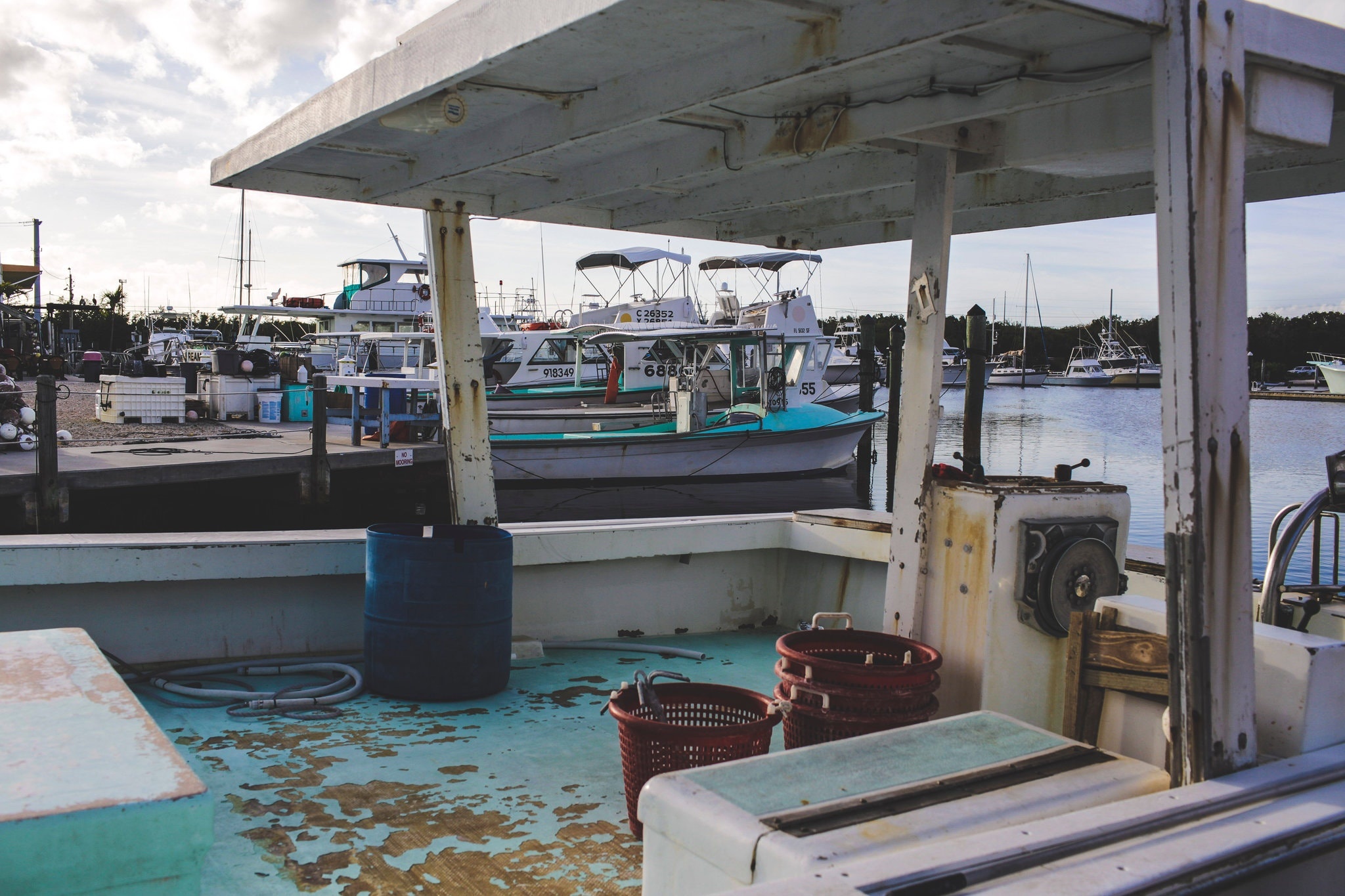 My khong ban duoc tom hum anh 6