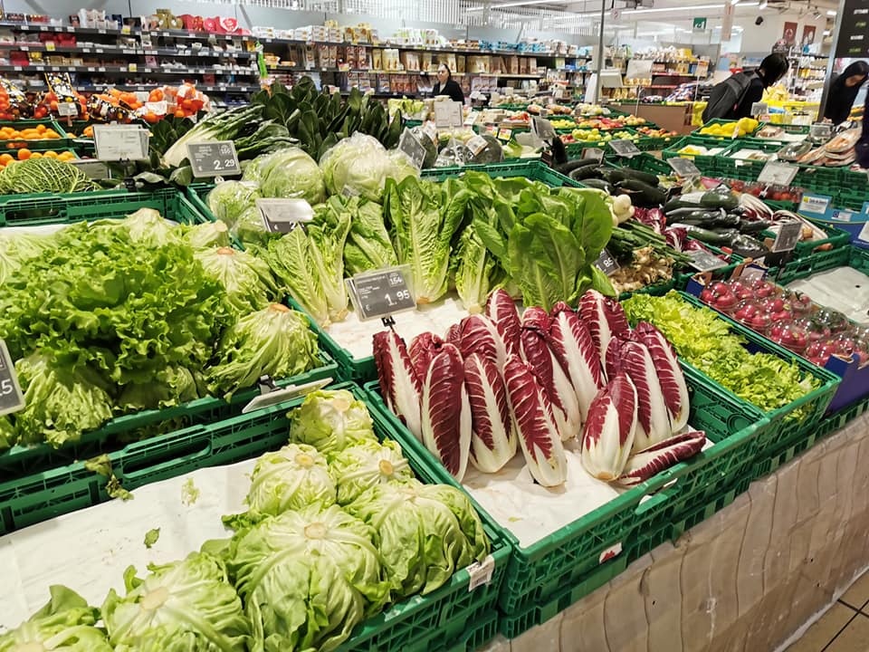 nguoi Viet o chau Au anh 11