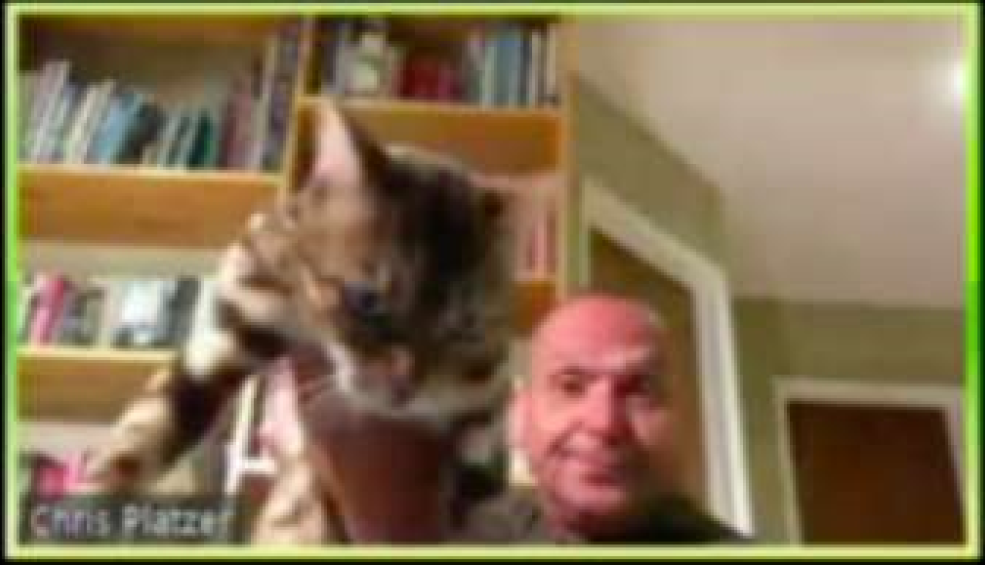 Quan chuc My tu dong tu chuc sau khi nem meo trong cuoc hop Zoom hinh anh