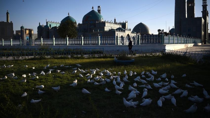 Nha tho o Afghanistan dong cua vi dich, chim chet nhu nga ra truoc cua hinh anh