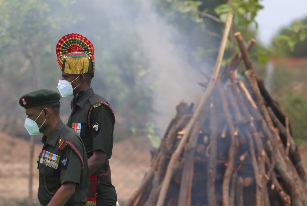 nganh chan nuoi de quy Tay Tang anh 7