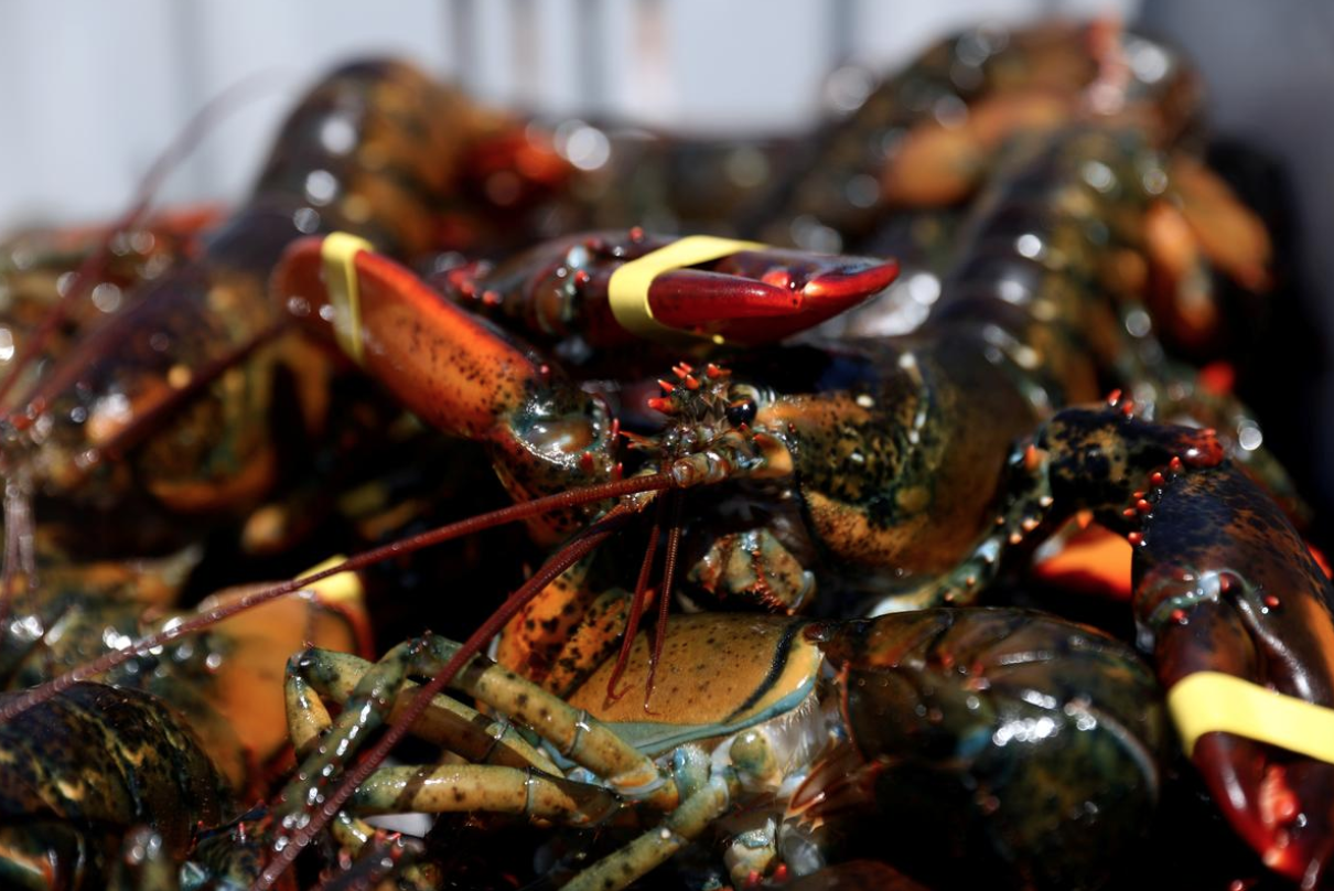 My doa ap thue thuy san Trung Quoc anh 1