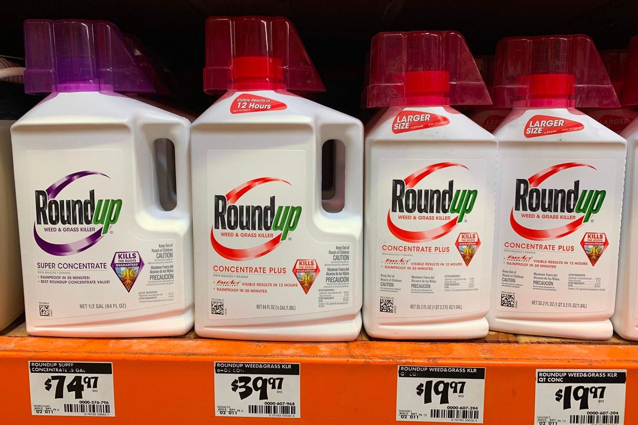 Hang so huu Monsanto den bu hon 10 ty USD vi thuoc diet co gay ung thu hinh anh