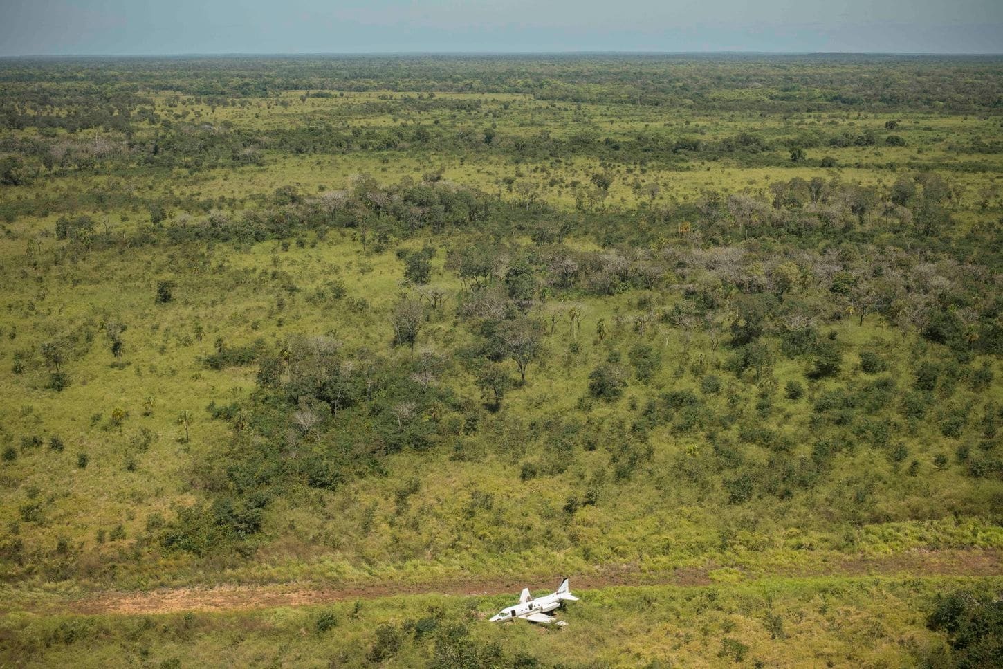 buon ban ma tuy duong hang khong o Trung My anh 1