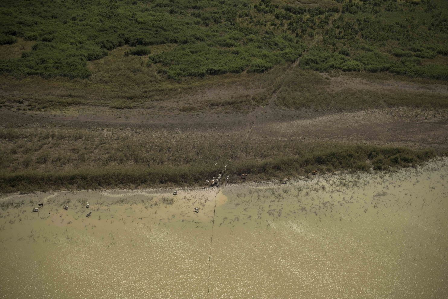 buon ban ma tuy duong hang khong o Trung My anh 9