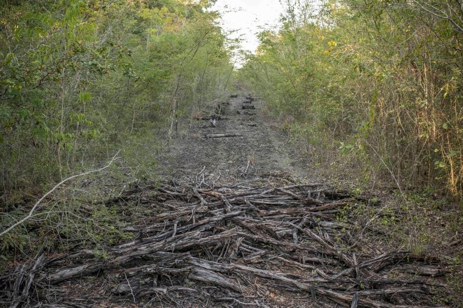 buon ban ma tuy duong hang khong o Trung My anh 10