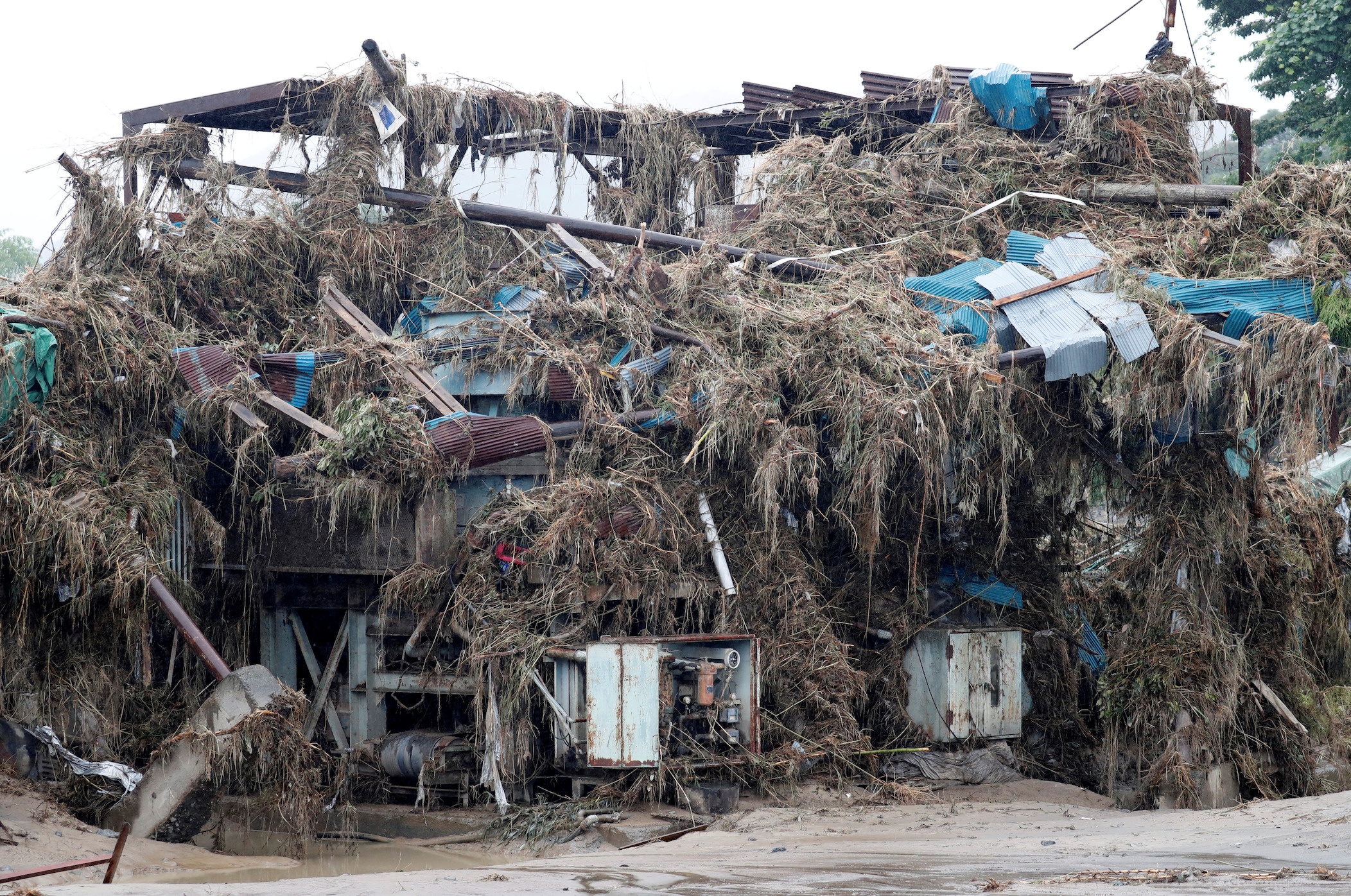 bien doi khi hau va dan so gia o Nhat Ban anh 4