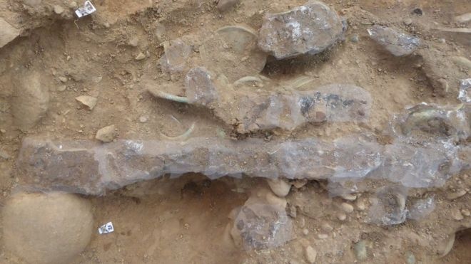 nguoi do kim loai phat hien co vat o Scotland anh 2