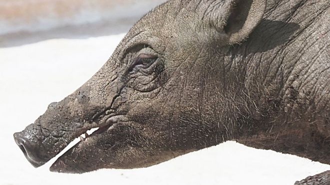 lon xau xi nhat the gioi tai so thu London anh 1