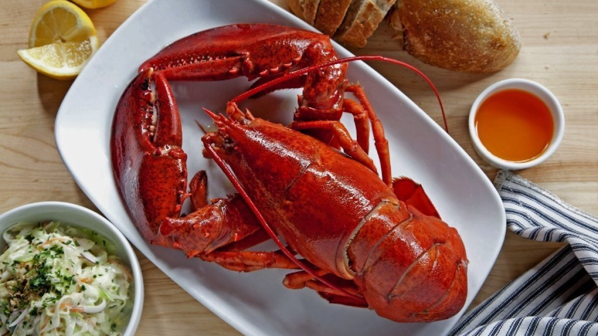 Dan ngheo Canada nhan cuu tro 7 container chua tom hum, bo wagyu hinh anh