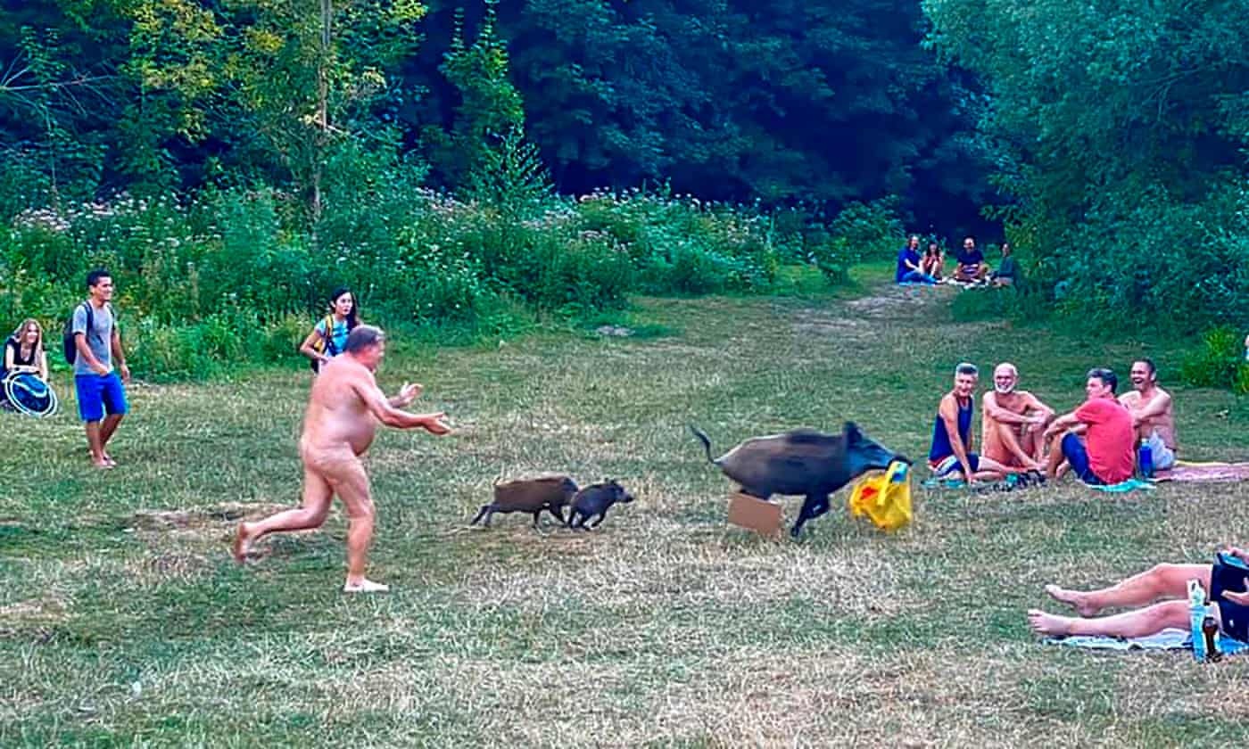 Heo rung bi doa giet vi lay trom laptop, 5.000 nguoi ky don phan doi hinh anh