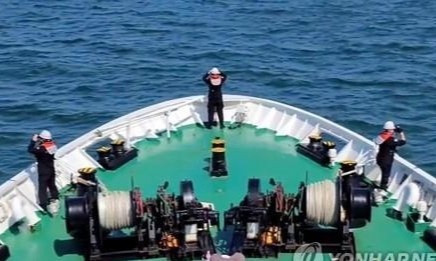 39 tau Han Quoc tham gia tim kiem thi the vien chuc bi ban chet hinh anh