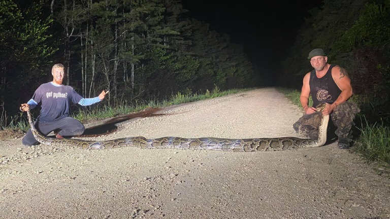 Bat duoc tran Mien Dien dai ky luc o Florida hinh anh