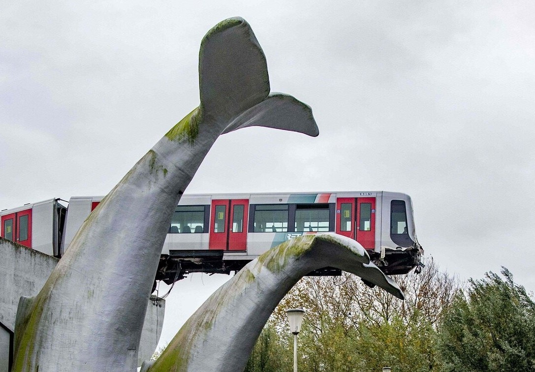 Tuong duoi ca voi khong lo cuu tau metro khoi lao xuong nuoc hinh anh
