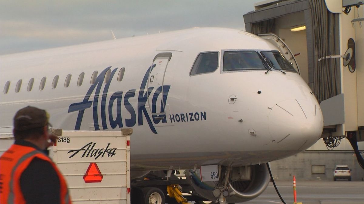 May bay dam chet gau nau hinh anh