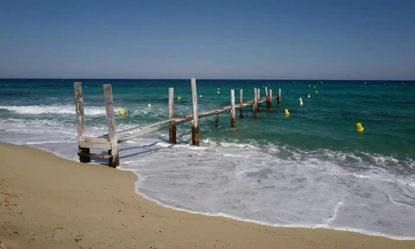 phan biet chung toc anh 1