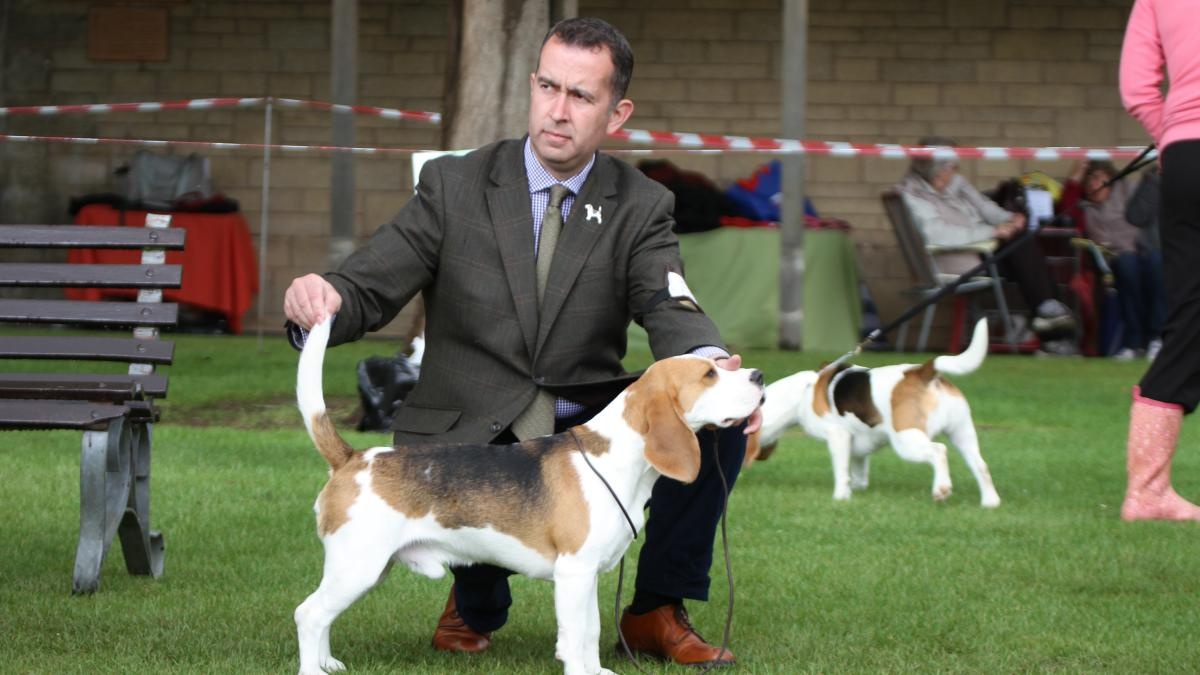 Robert Hendy-Freegard anh 3