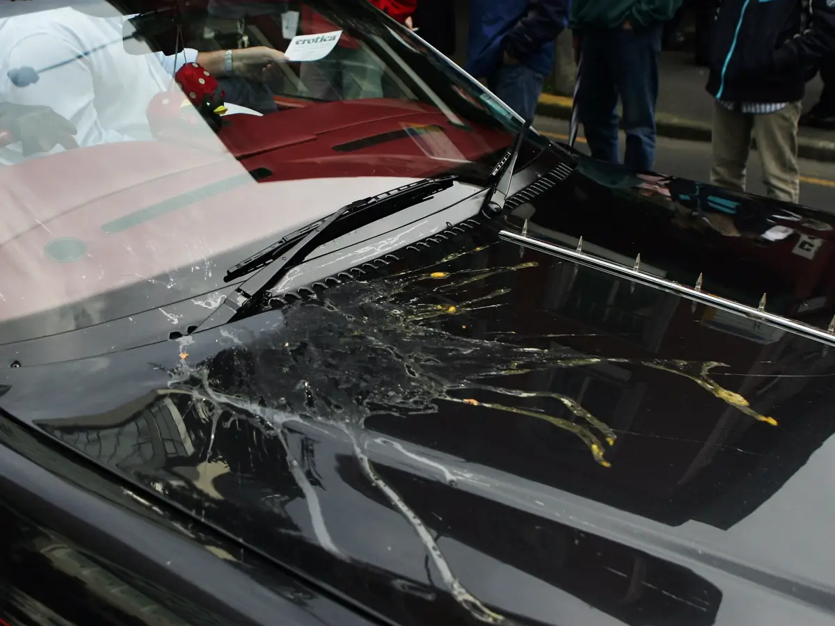 giet nguoi dem Halloween anh 1