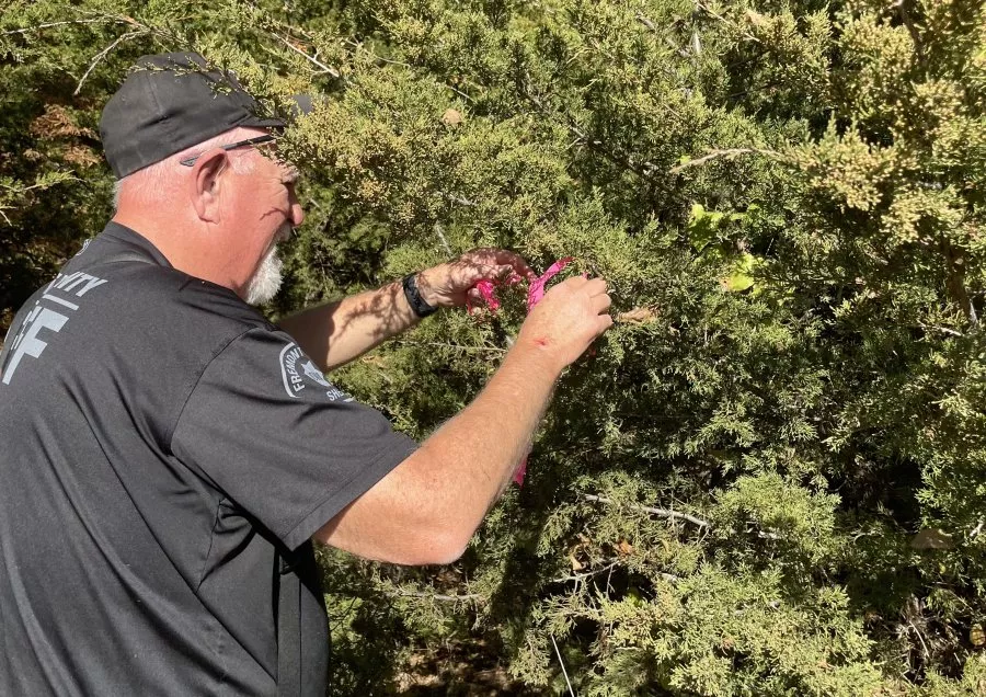 giet nguoi hang loat anh 3