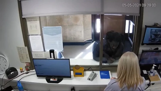 Nguoi dan ong o Anh ra dau thu sau 41 nam hinh anh