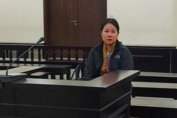 Lua ban biet thu o du an ma Lotus Lake View Hoa Binh hinh anh