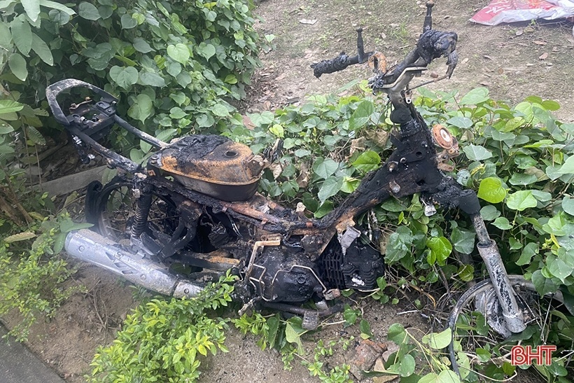 dot nha cha me anh 1