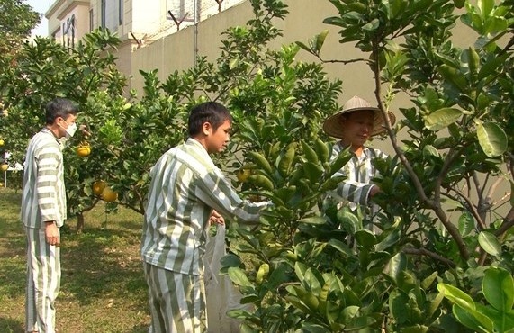 Thap lua mua Xuan xua tan bong dem lam loi hinh anh
