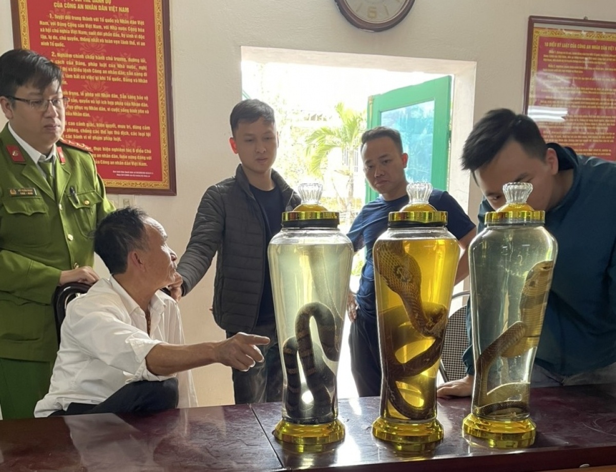 Van chuyen ran ho mang chua, nguoi dan ong bi khoi to hinh anh