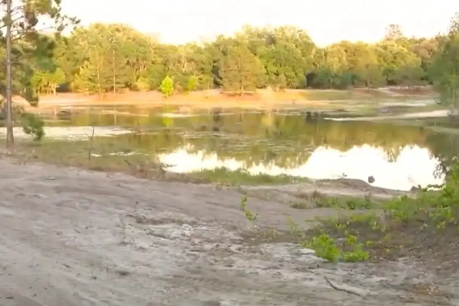 Ba thieu nien My bi buoc toi giet nguoi, phi tang xac hinh anh