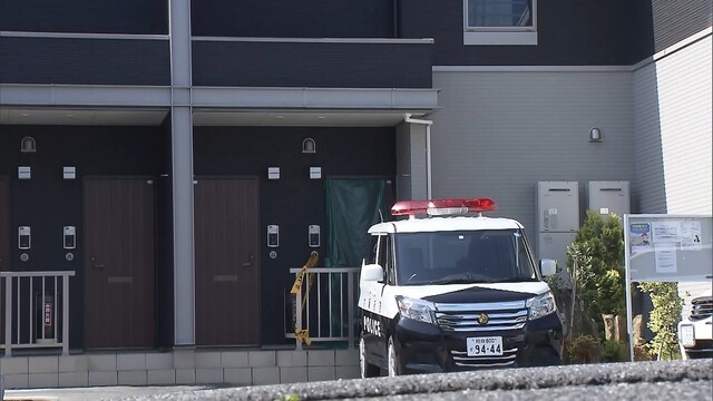 Co gai Nhat Ban tu vong sau khi bi ban trai danh hinh anh