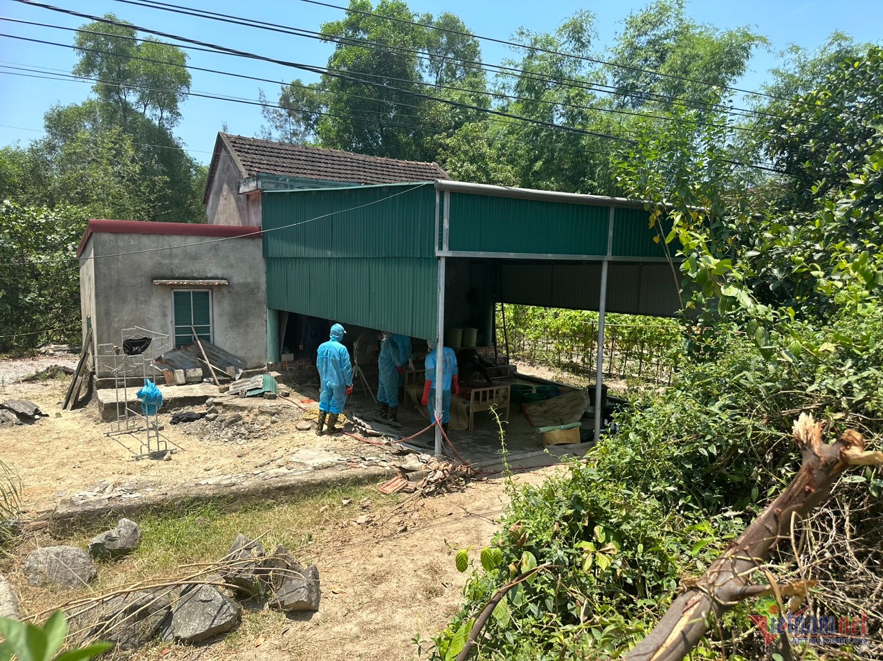 tu vong tai nha anh 1