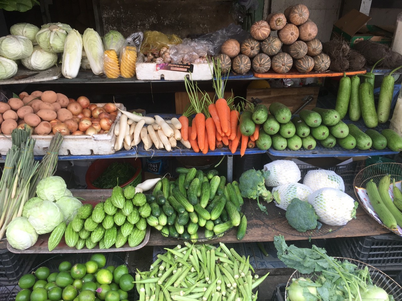 Gia rau tang manh hinh anh