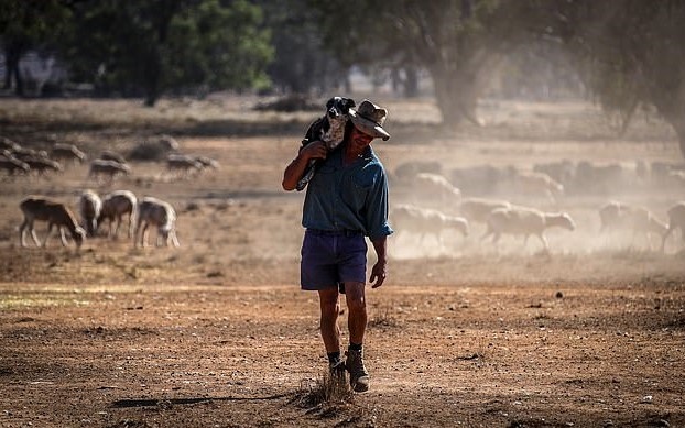 Nong dan Australia chat vat canh tranh nguon nuoc voi chu dau tu TQ hinh anh