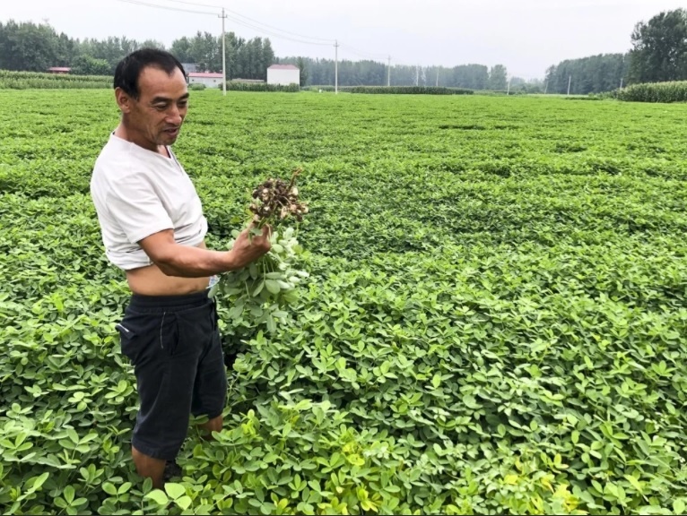 Mua lon han han de doa an ninh luong thuc trung quoc anh 1