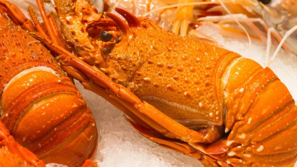 Trung Quoc cam nhap dong, quang va tom hum tu Australia hinh anh