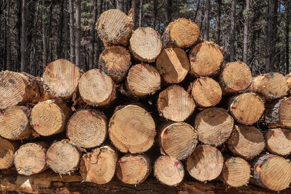 Trung Quoc cam nhieu san pham nhap khau tu Australia anh 1