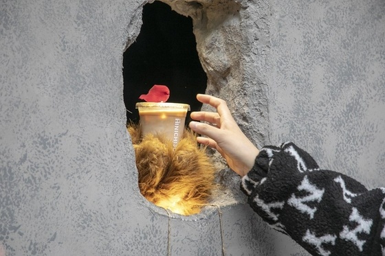 Quan ca phe ban hang qua mong vuot gau va chiec lo tren tuong anh 1