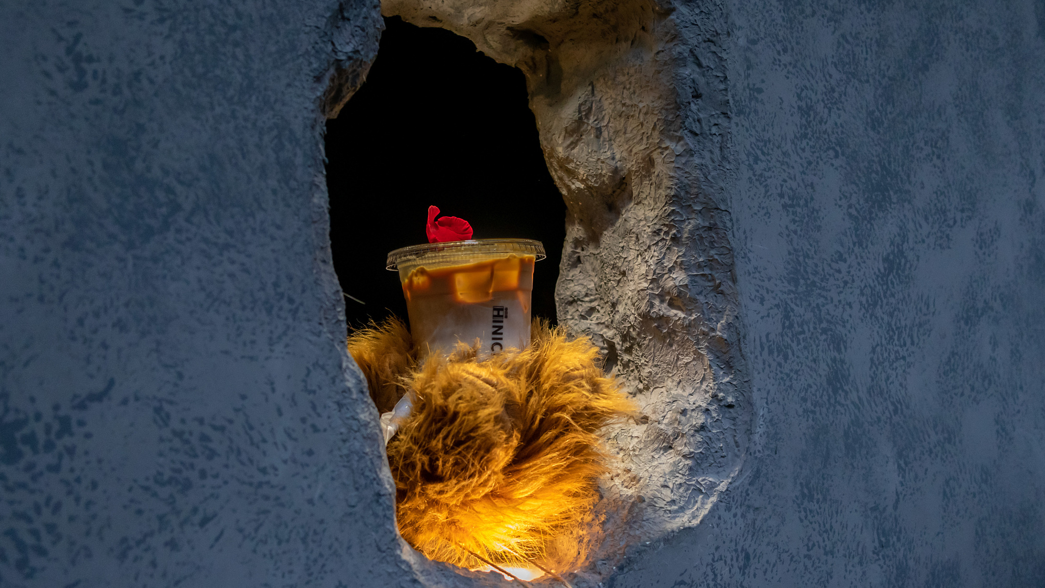 Quan ca phe ban hang qua ban tay gau va chiec lo tren tuong hinh anh