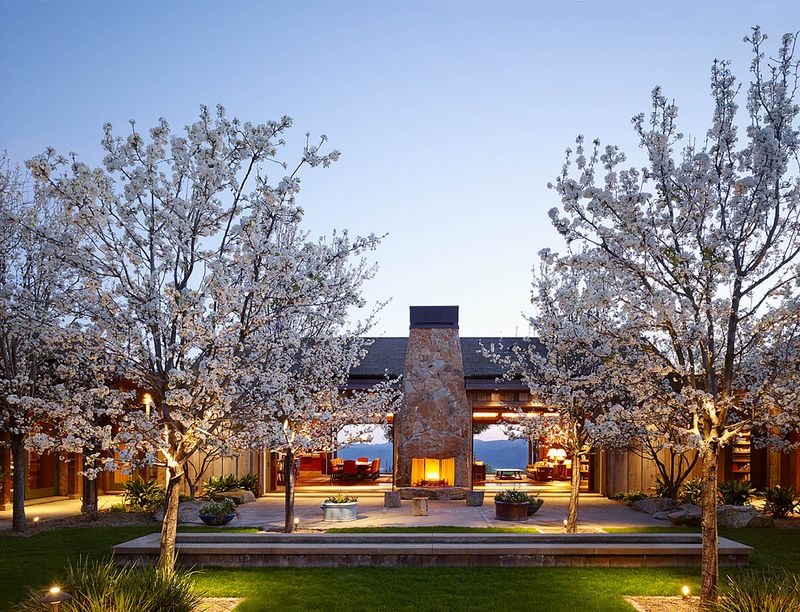 biet thu go tren doi napa anh 1