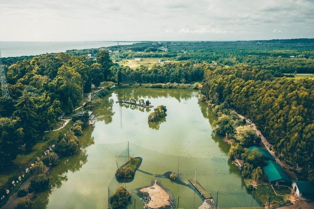 Thu tieu tien 'ky quac' cua cac sieu giau chau A anh 4