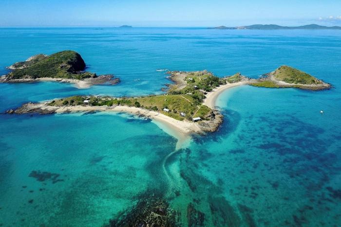 Gioi sieu giau dua nhau mua dao rieng lam noi tranh Covid-19 hinh anh