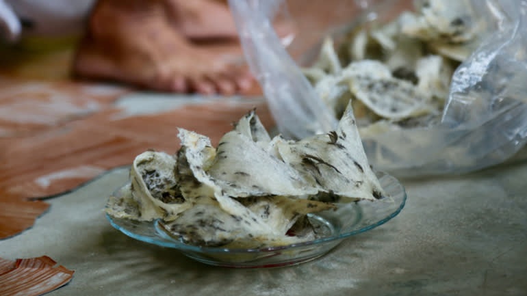 bung no nghe nuoi yen anh 1