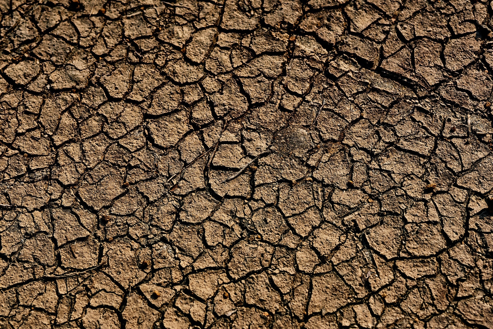 thieu nuoc nong dan Dai Loan dieu dung anh 1