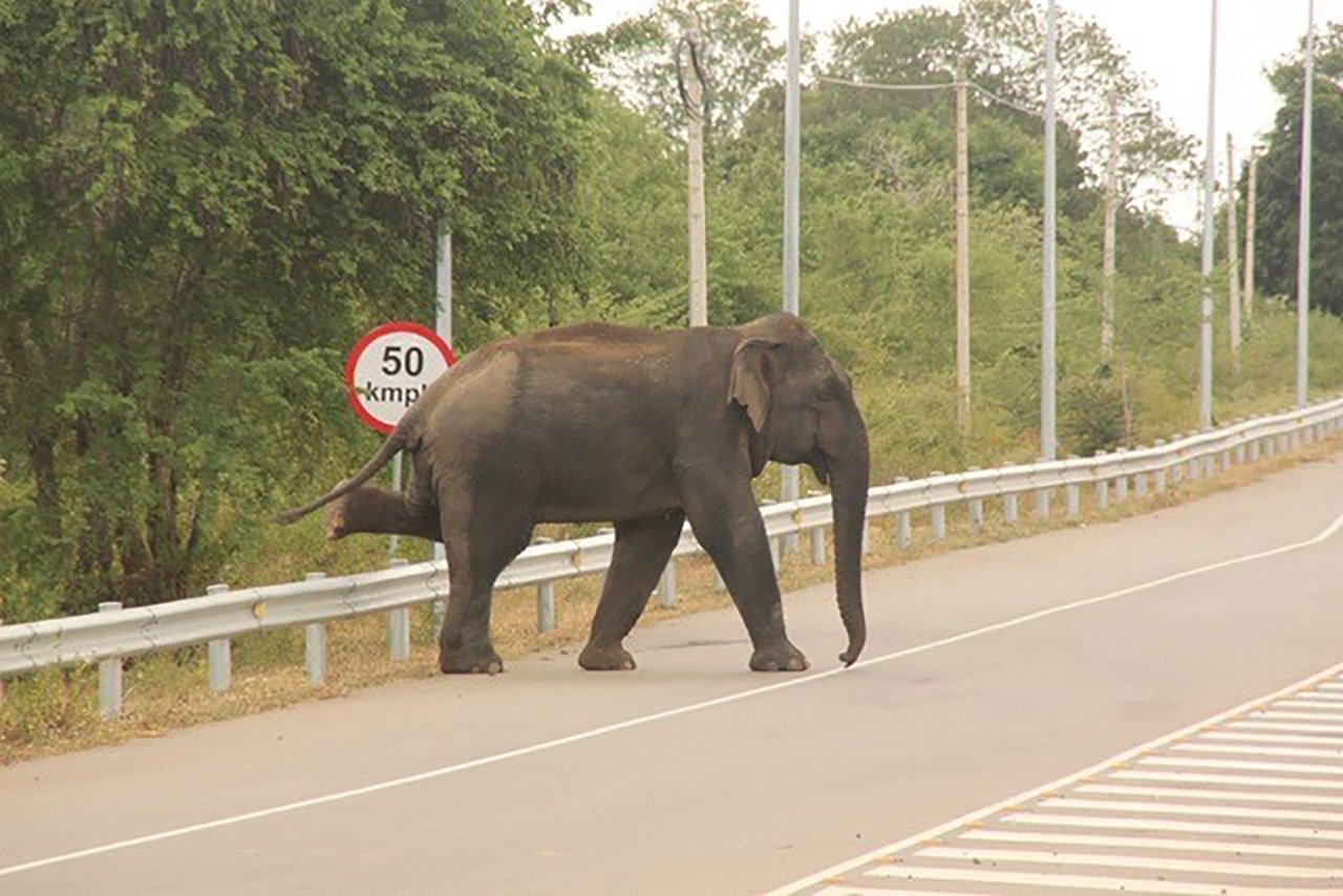 san bay vang ve nhat the gioi anh 9
