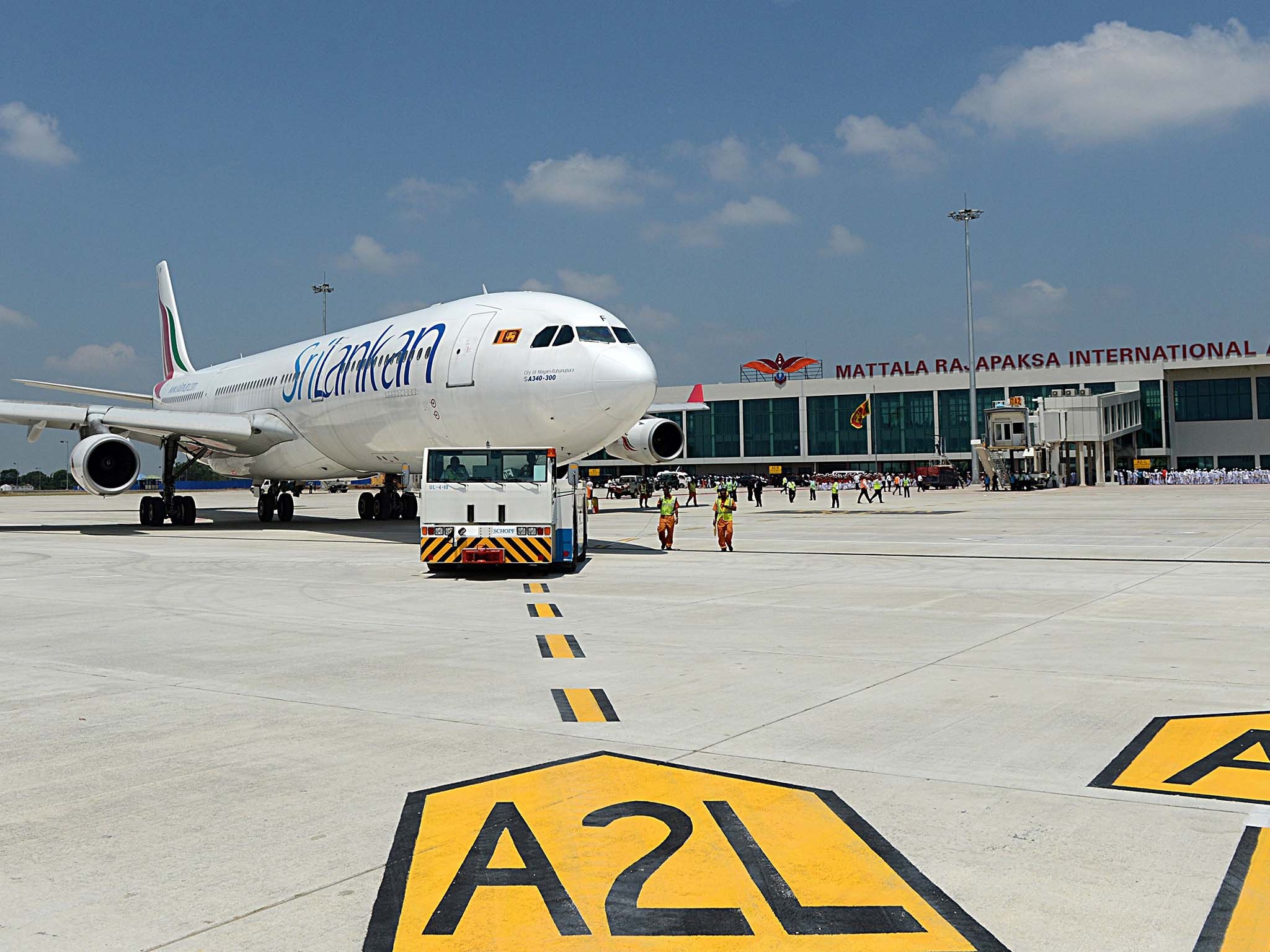 Canh diu hiu tai san bay vang nhat the gioi hinh anh