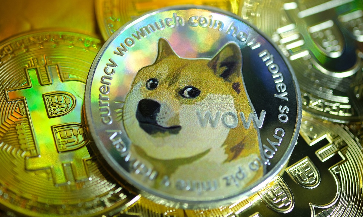 Mua 1.000 USD Dogecoin dau nam, nhan 68.500 USD hien tai hinh anh