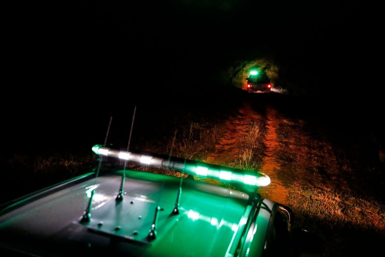 gia qua bo tang vot anh 2