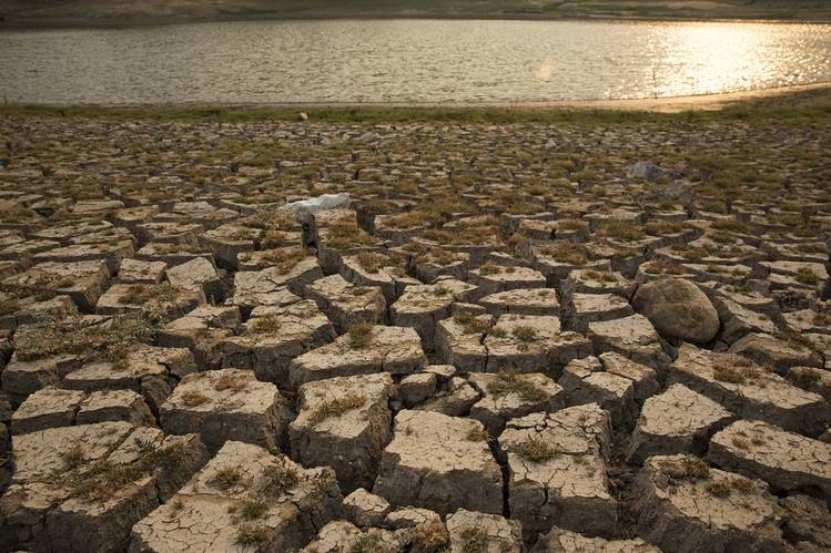 Gia thuc pham tai My tang vot vi han han keo dai hinh anh